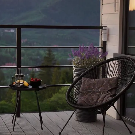 Provance House Slavske