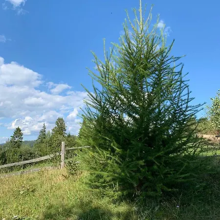 Provance House Holiday home *