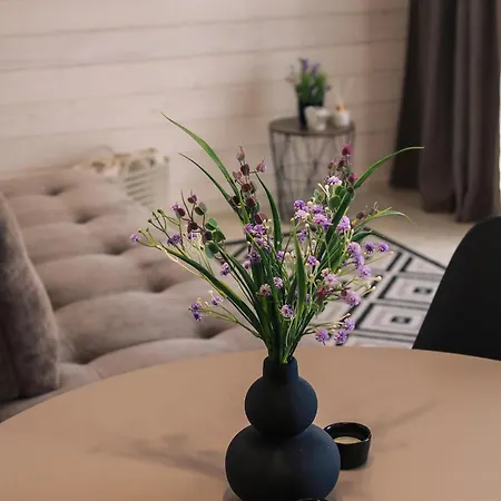 Semesterbostad Provance House Slavske