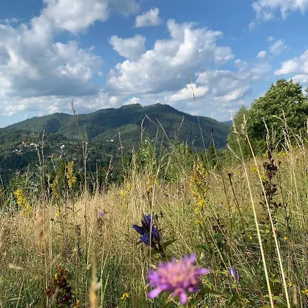 Provance House * Slavske